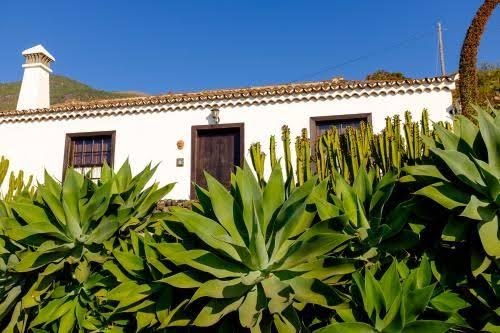 Finca Valentina - Foto 1