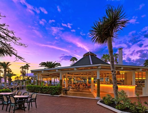 H10 Las Palmeras - Foto 1