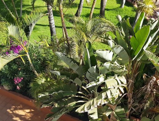 Ifa Altamarena By Lopesan Hotels - Foto 2