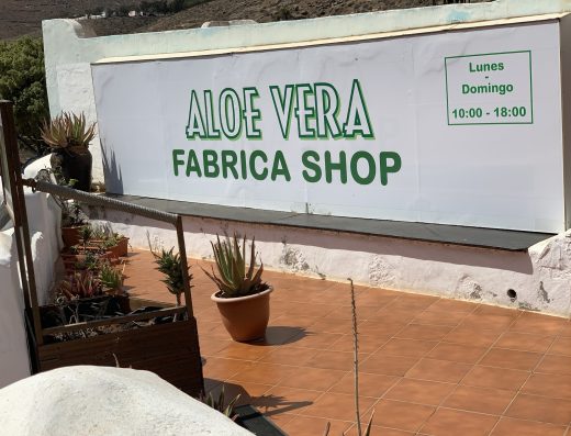 Aloe Vera Fresca di Fuerteventura