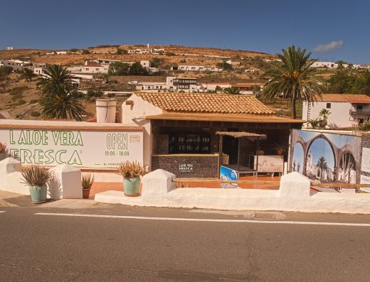 Aloe Vera Fresca Di Fuerteventura - Foto 3