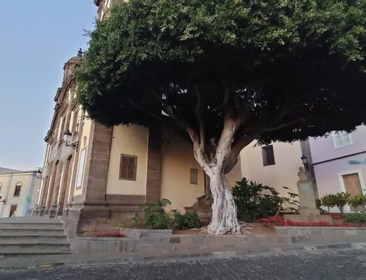 Alojamiento En Guía - Foto 2