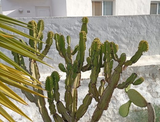 Apartamento Jardín Del Río - Foto 3