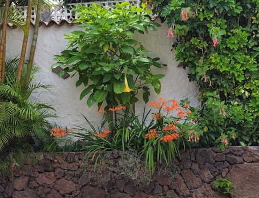Apartamento Jardín Del Sol - Foto 2