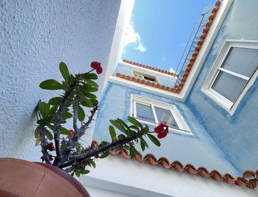 Apartamentos Flor Del Drago - Foto 3