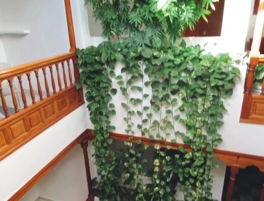 Apartamentos Tapahuga - Foto 2