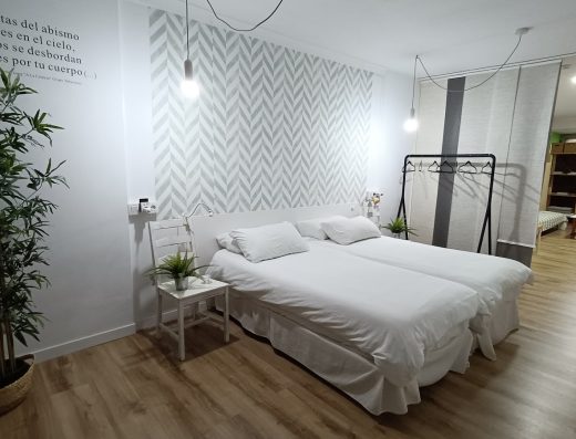 Aridane Loft