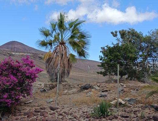 Bahía Feliz - Foto 3