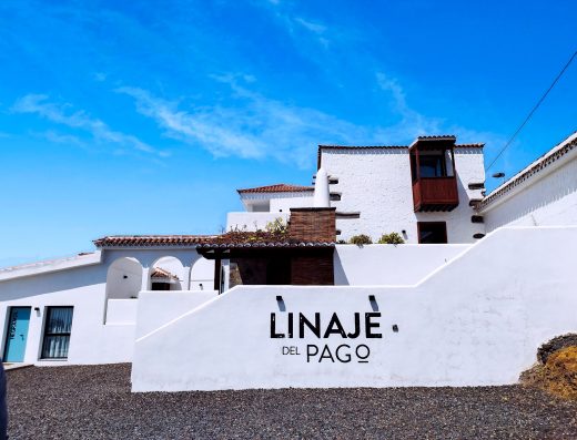 Bodegas Linaje Del Pago - Foto 3