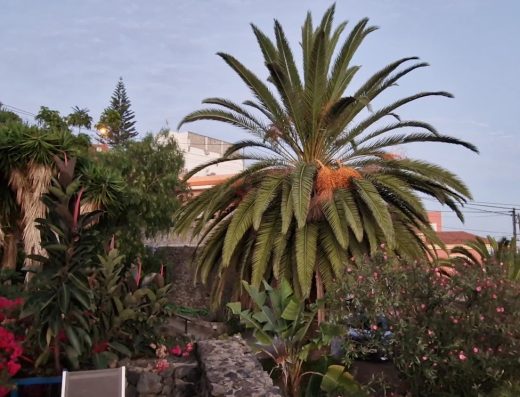 Casa Ida - Foto 2