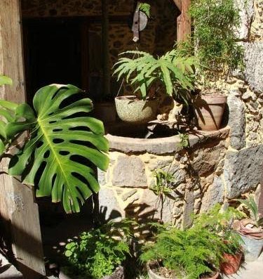 Casa Rural La Pileta - Foto 3