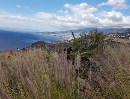 Casa Tabaiba - Foto 3