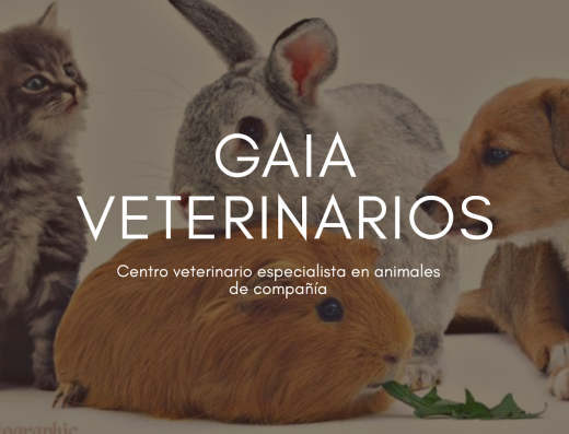 Clínica Veterinaria Gaia - Foto 2