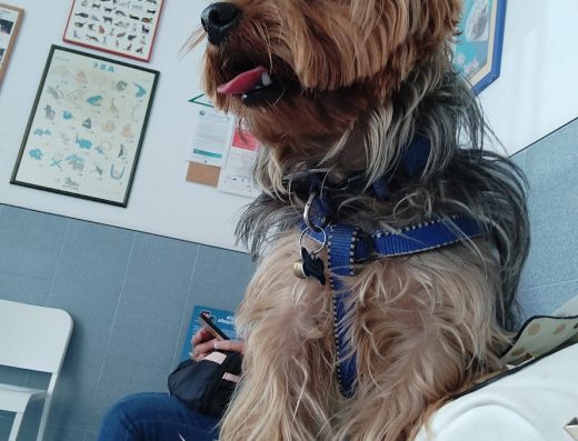 Clínica Veterinaria Guaza