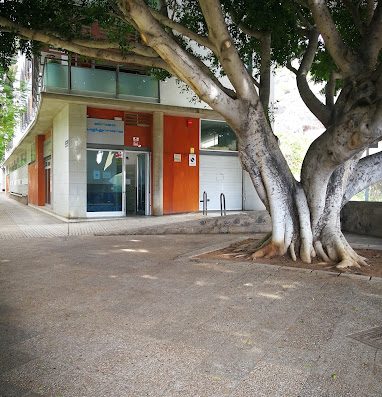 Clínica Veterinaria María Jiménez - Foto 2