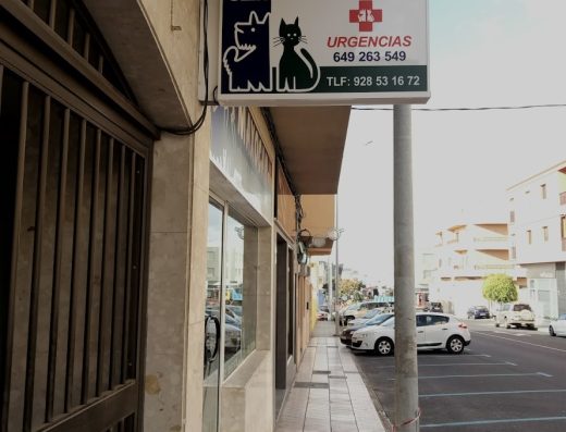 Clínica Veterinaria Maxocan - Foto 3