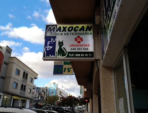 Clínica Veterinaria Maxocan