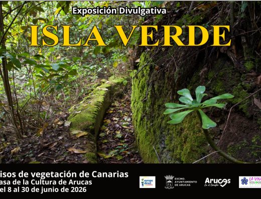 Exposición Divulgativa Isla Verde