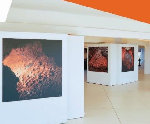 Exposición: Timanfaya Arte Creado Por El Volcán — Imagen Oficial