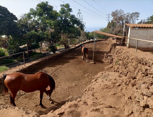 Finca Alibaba - Foto 2