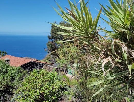 Finca El Lance - Foto 2