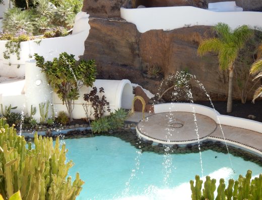 Flor De Timanfaya - Foto 3