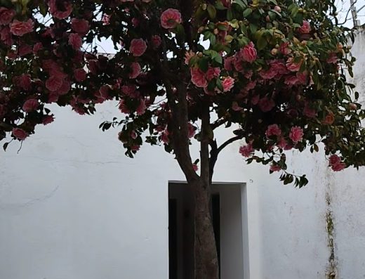 Hostal La Casita - Foto 2