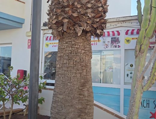 Hotel Arena Beach - Foto 3
