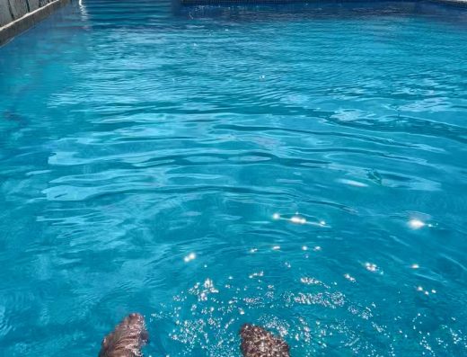 Hotel La Aldea Suites - Foto 2