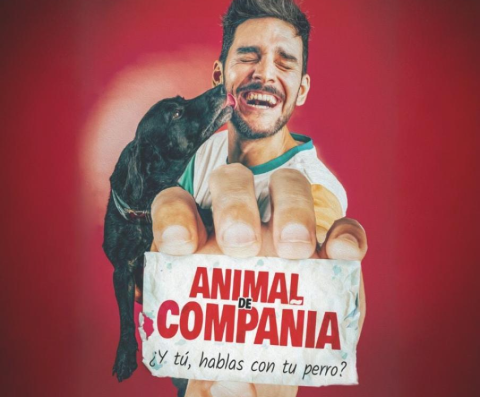 Jorge Bolaños: Animal De Compañía — Imagen Oficial