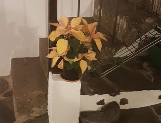 La Cuadra - Foto 4