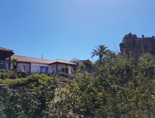 La Hoya - Foto 2