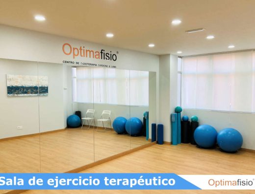 OPTIMAFISIO, Fisioterapia