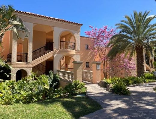 Palm Oasis