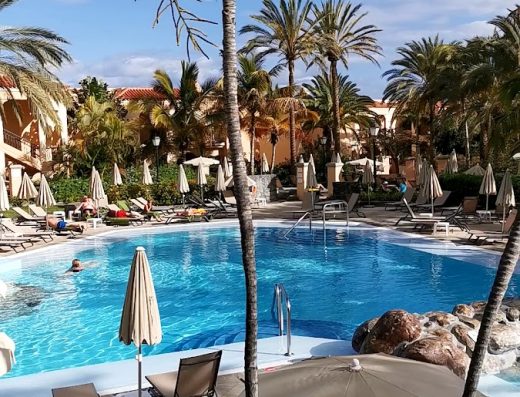 Palm Oasis - Foto 2