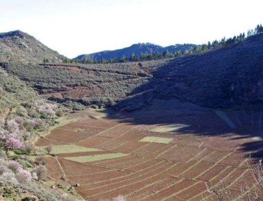 Senderismo: Circular Pico de Las Nieves – Caldera de los Marteles