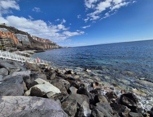 Tabaiba Baja