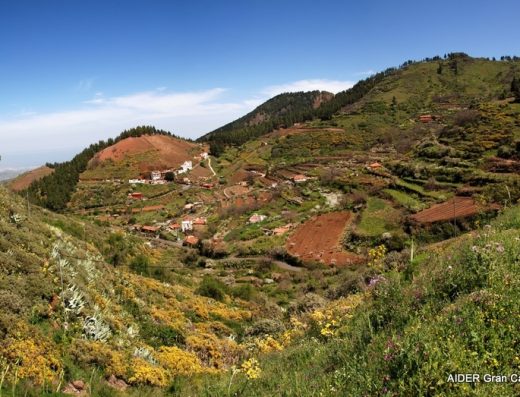 Teror Patea por GC: Pico Las Nieves – Camaretas – San Mateo