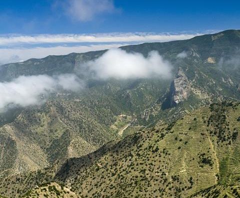 Trail Barranco del Ingenio