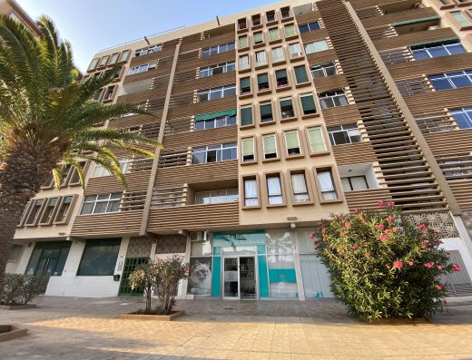 Veterinario La Salle - Foto 3