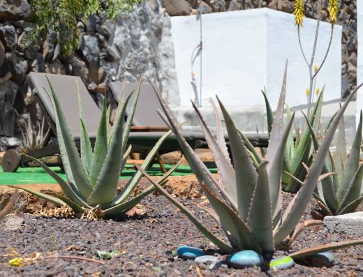 Villa Aloe Hermigua - Foto 1