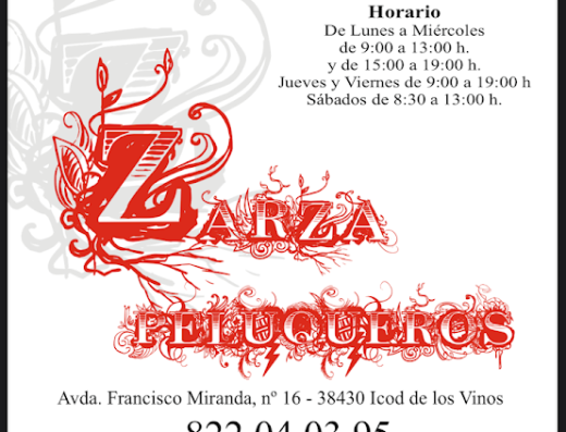 Zarza Peluqueros - Foto 2