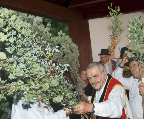 Romería de El Poleo – El Amparo