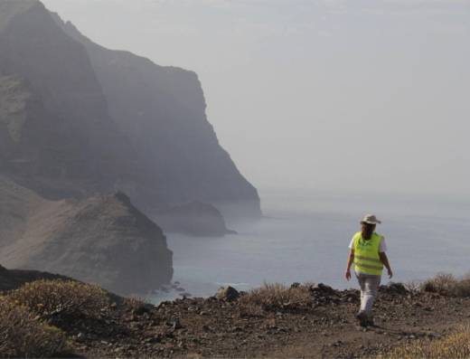 Cresoling2 Gran Canaria