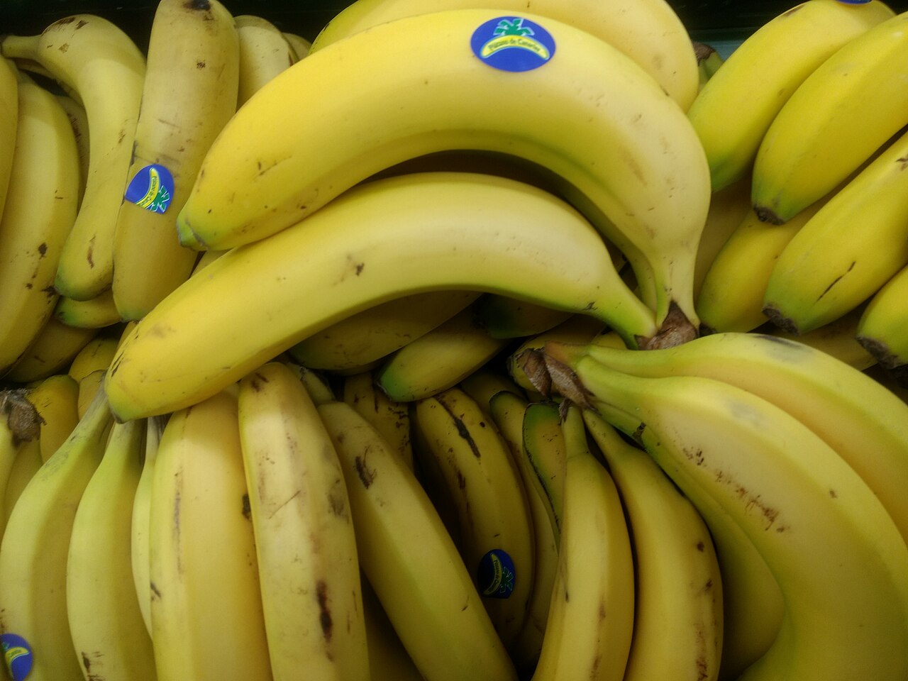 Plátano de Canarias