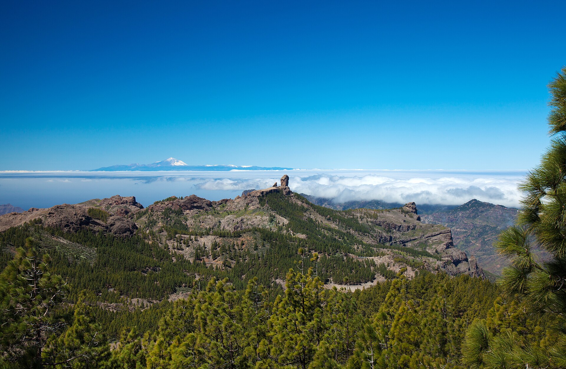 Mirador del Pico de los Pozos de la Nieve, Gran Canaria