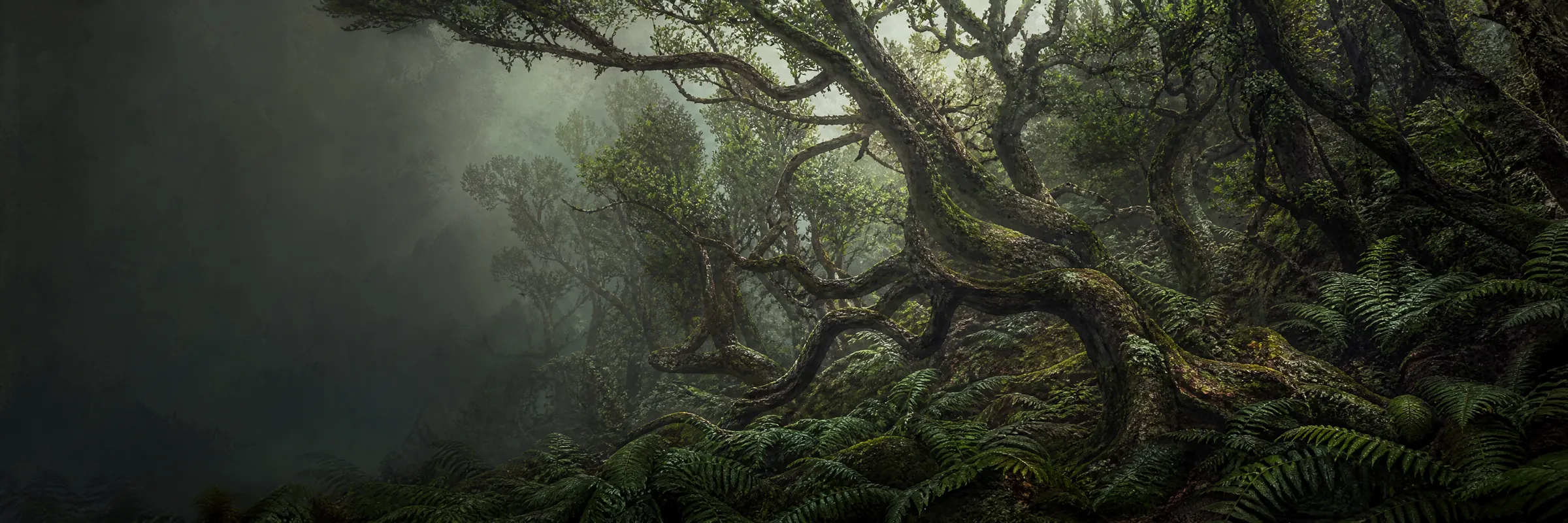 Laurisilva del Bosque Encantado del Pijaral: laureles retorcidos cubiertos de musgo y líquenes, helechos gigantes y niebla entre los troncos
