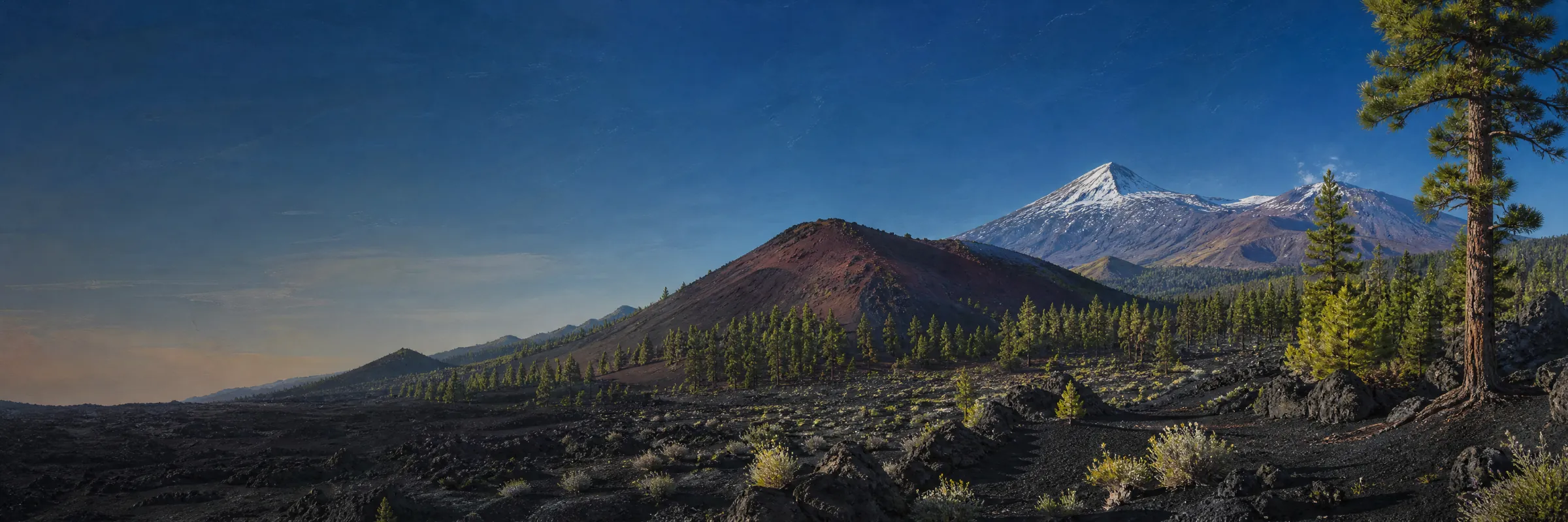Cono del volcán Chinyero rodeado de malpaís de lava negra y pinar canario, con el Teide nevado al fondo