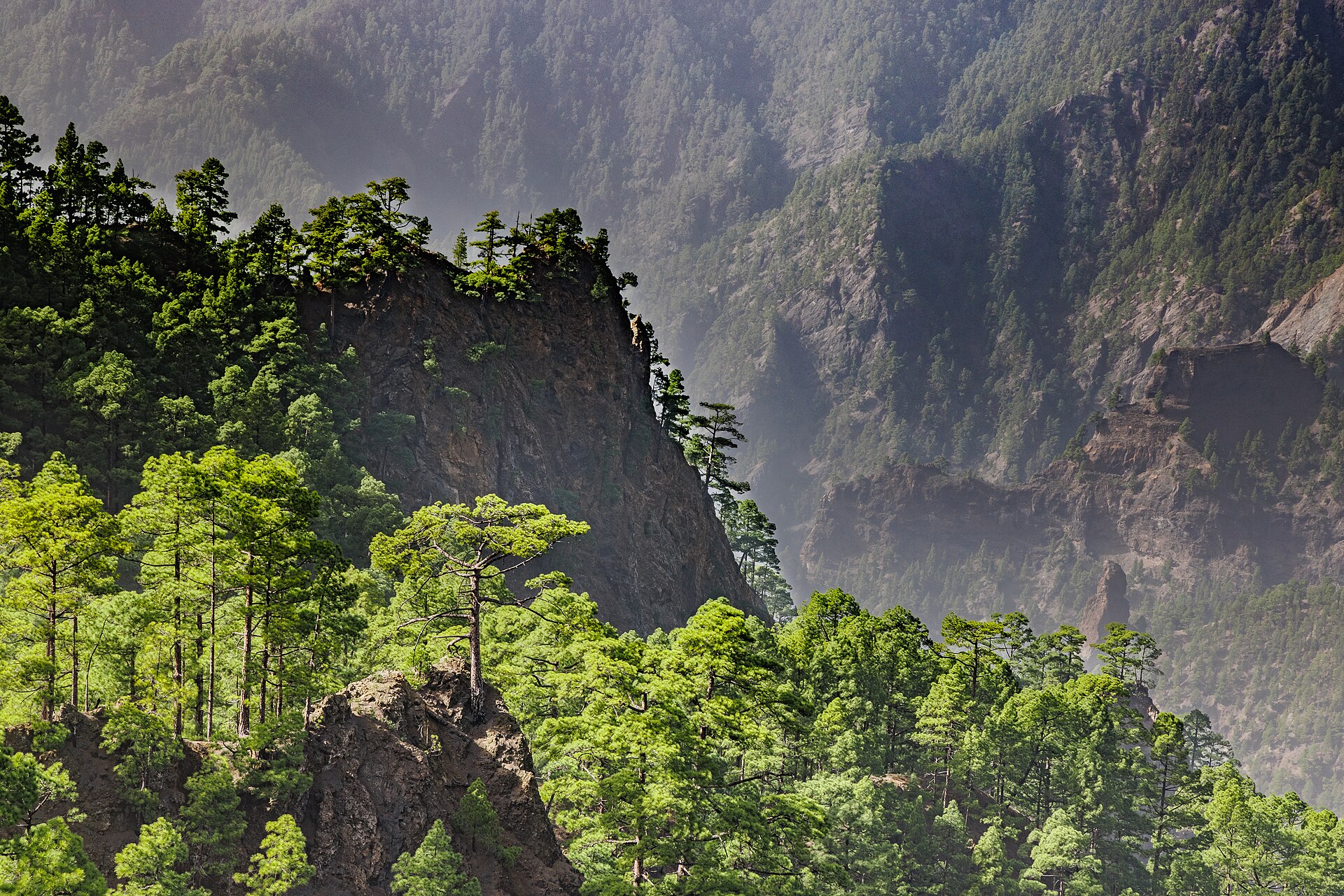 Mirador de La Cumbrecita, La Palma