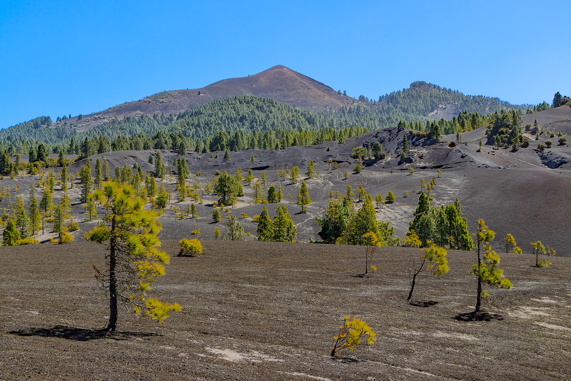 Llano del Jable, La Palma